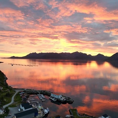 Senja Living Aparthotel Stonglandseidet Ngoại thất bức ảnh